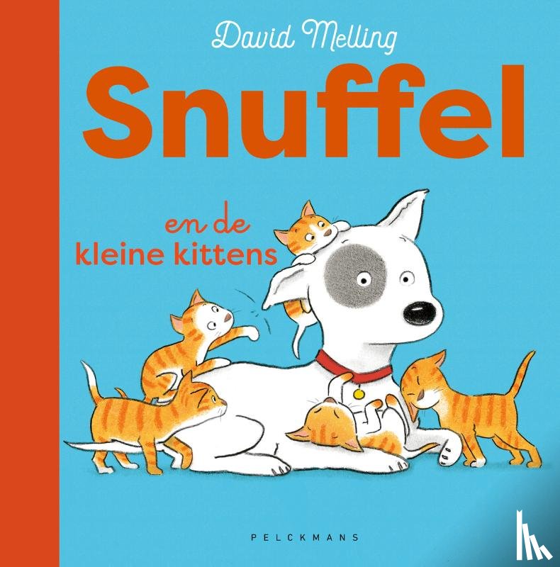  - Snuffel en de kleine kittens