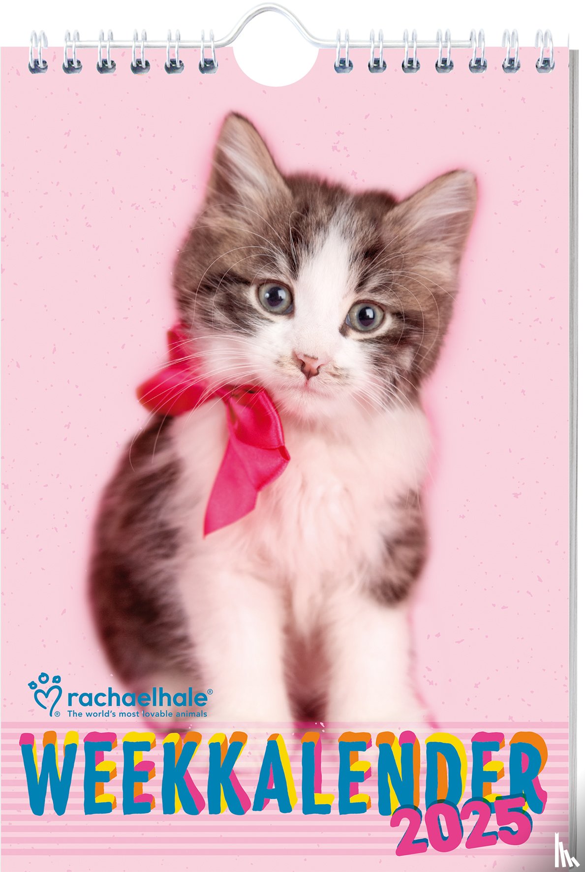Interstat - Rachael Hale Katten weekkalender - 2025