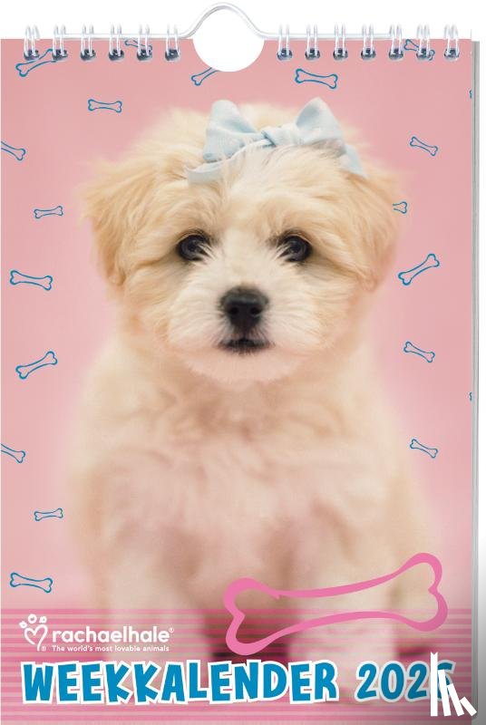Hale, Rachael - Rachael Hale Honden weekkalender - 2026