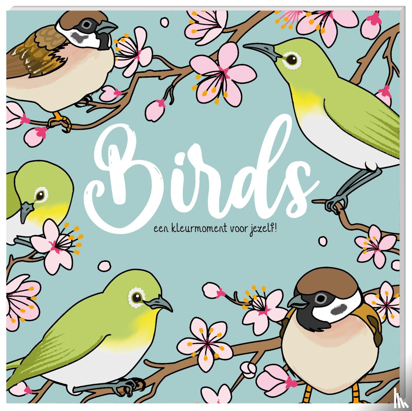 Interstat - Kleurboek - Birds