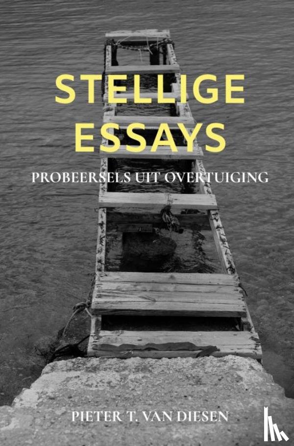 Van Diesen, Pieter T. - Stellige essays