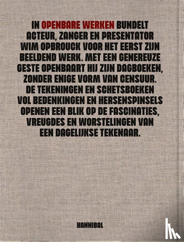Marius, Bart, Allegaert, Patrick - Openbare werken