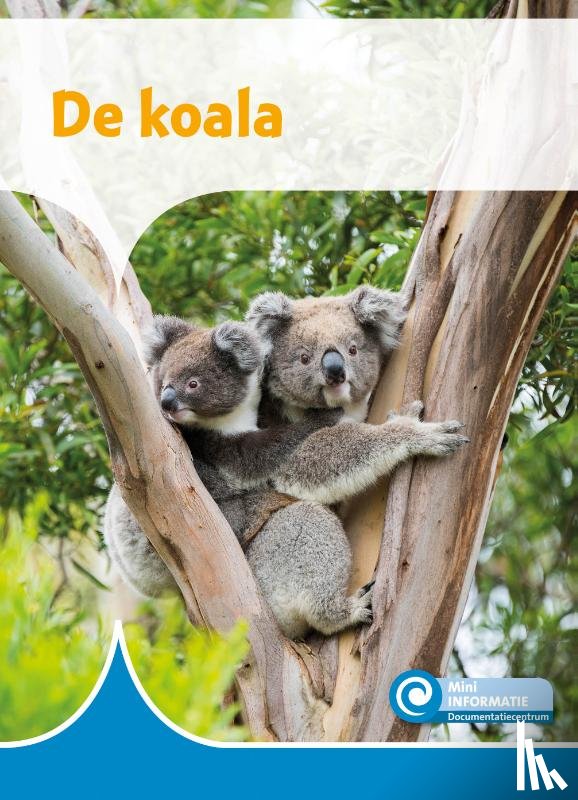 Merle, Ditte - De koala