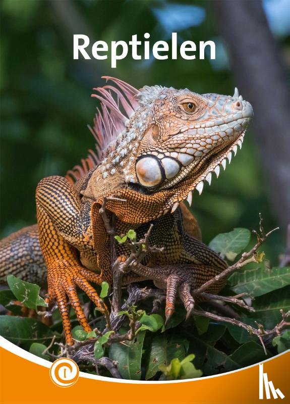Buijs, Bo - Reptielen