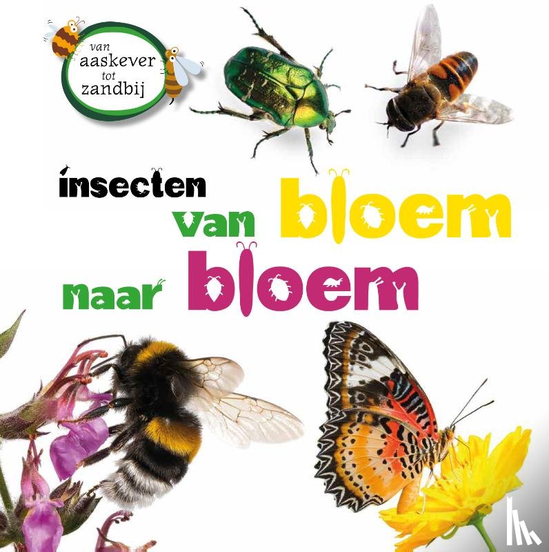 Ridley, Sarah - Insecten van bloem tot bloem