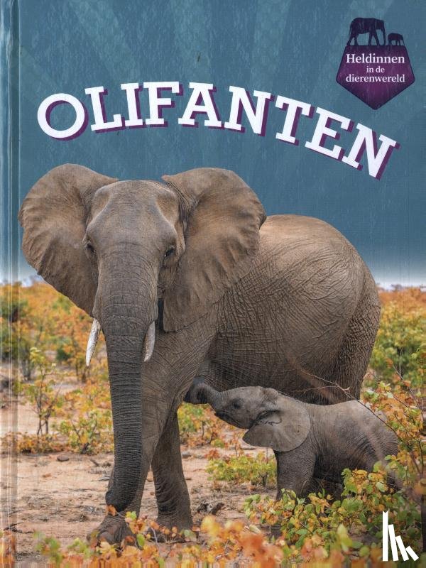 Sang, Maivboon - Olifanten