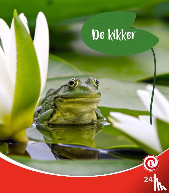 Dam, Minke van - de kikker