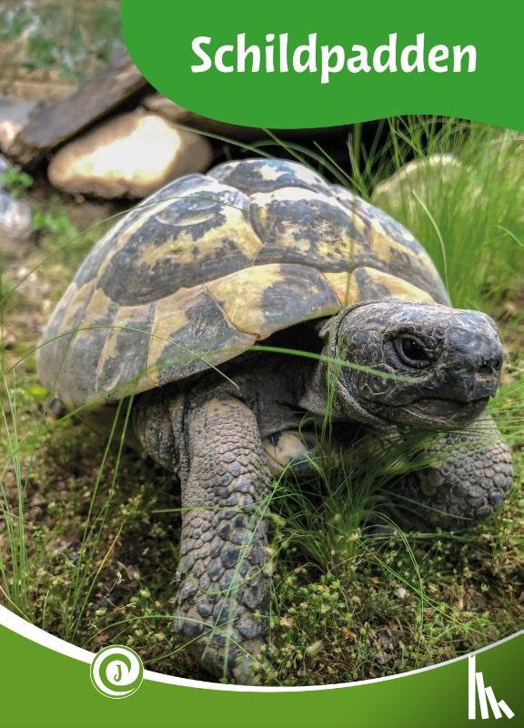 Roebers, Geert-Jan - Schildpadden