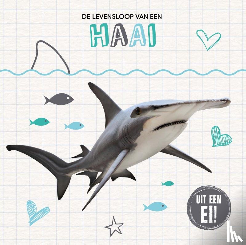 Duhig, Holly - De levensloop van een haai