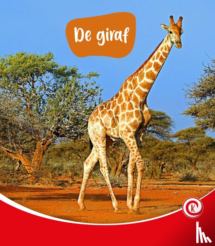 Dam, Minke van - De giraf