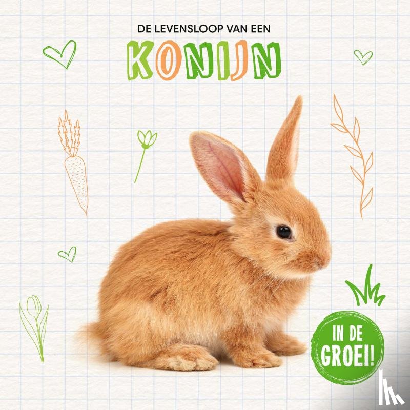 Vallepur, Shalini - Konijn