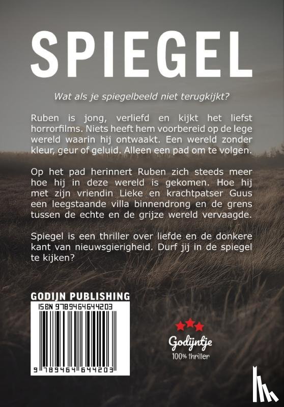 Botman, Roan - Spiegel