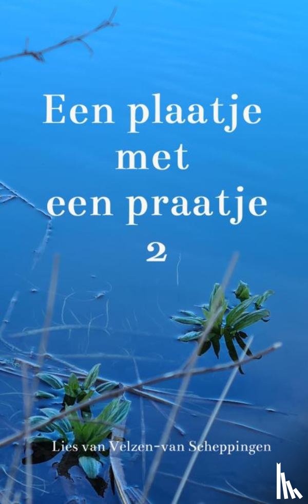 Van Velzen-van Scheppingen, Lies - Een plaatje met een praatje 2