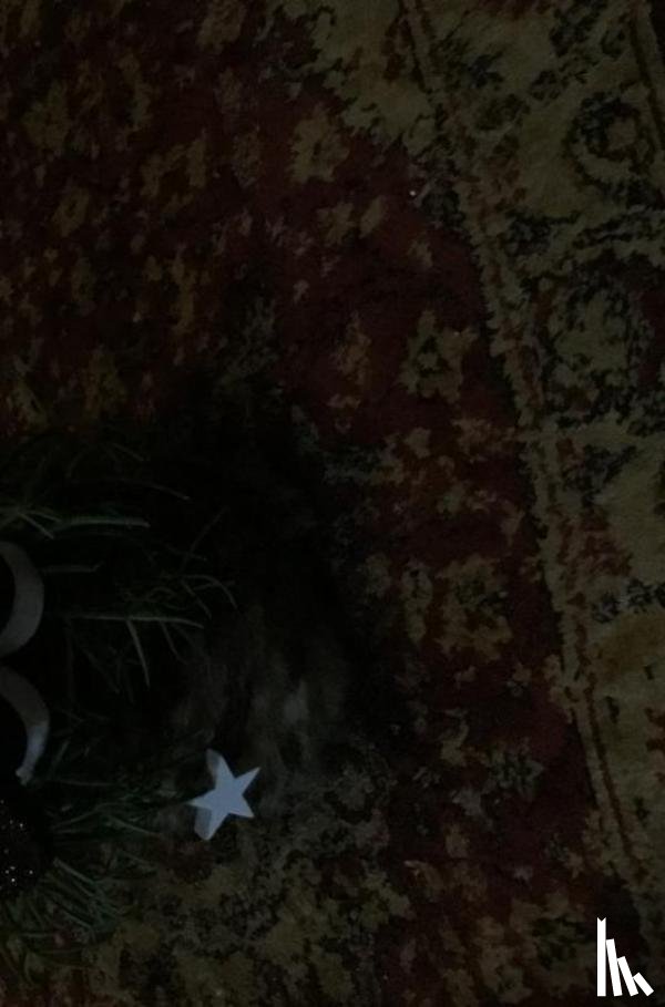 Linders, Ans - mooie kerstverhalen