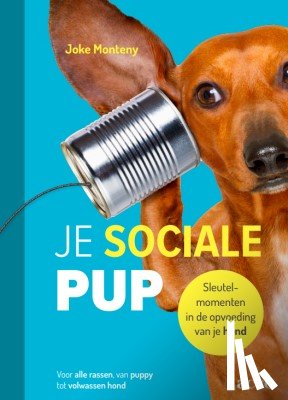 Monteny, Joke - Je sociale pup