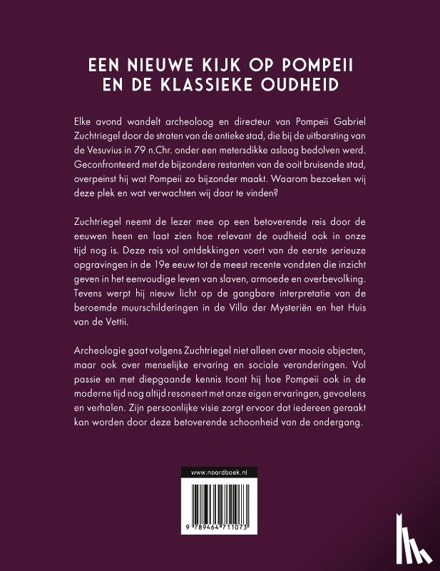 Zuchtriegel, Gabriel - De betovering van de ondergang