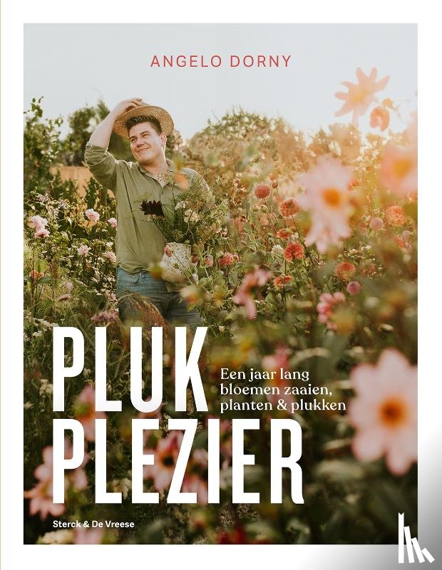 Dorny, Angelo - Plukplezier