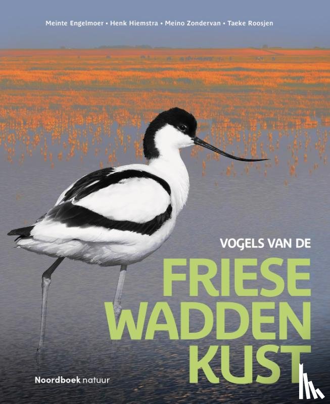 Engelmoer, Meinte, Hiemstra, Henk, Zondervan, Meino, Roosjen, Taeke - Vogels van de Friese Waddenkust