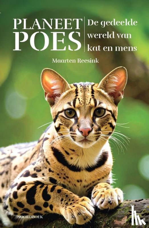 Reesink, Maarten - Planeet Poes
