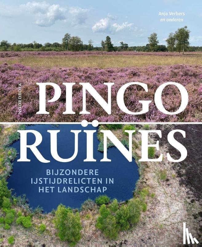 Verbers, Anja - Pingoruïnes