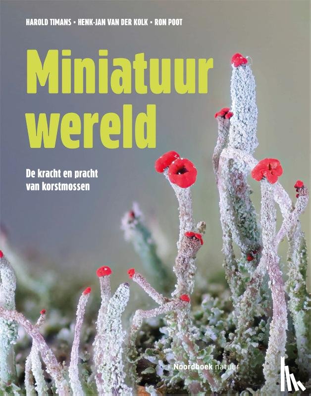 Van der Kolk, Henk-Jan, Timans, Harold - Miniatuurwereld