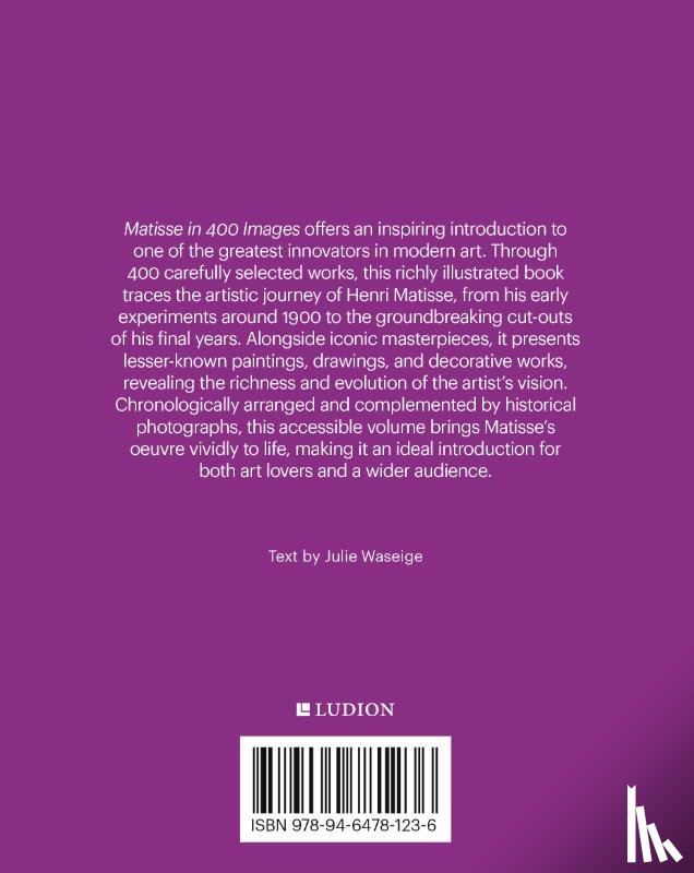 Waseige, Julie - Matisse in 400 Images