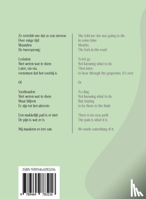 Seynhaeve, Giovanni - Knutselen met pijn
