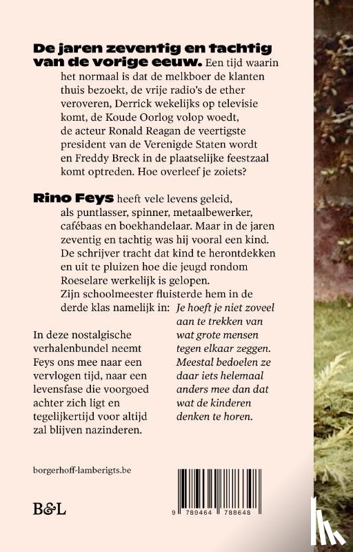 Feys, Rino - Het geluid van brekend glas