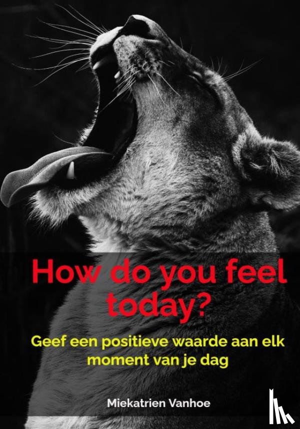 Vanhoe, Miekatrien - How do you feel today?