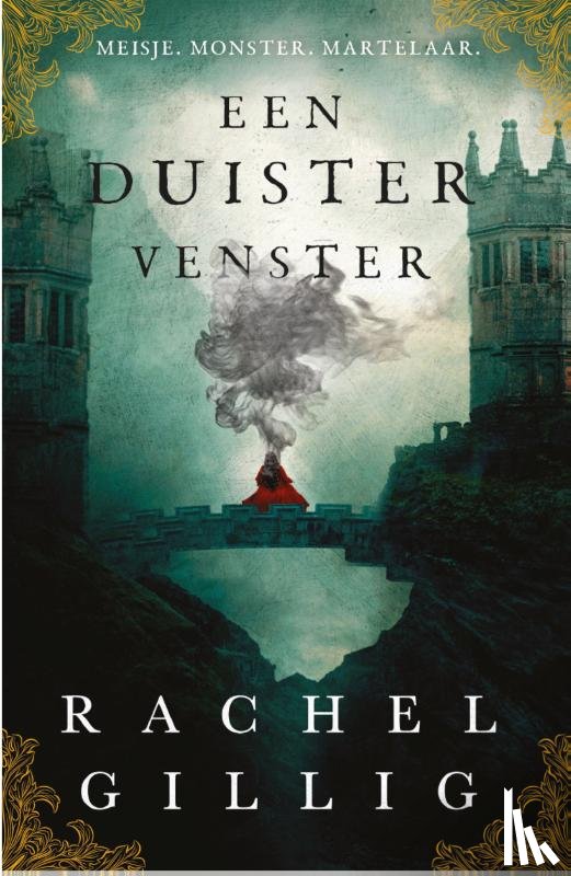 Gillig, Rachel - Een duister venster