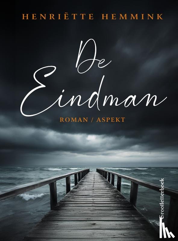 Hemmink, Henriëtte - De Eindman | Grootletterboek
