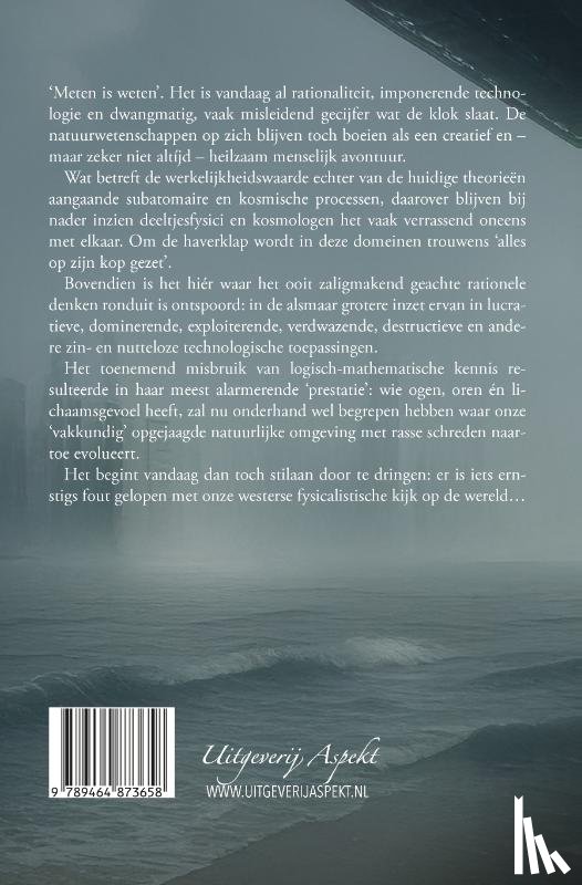 Noens, Ludo - Als in een wazige spiegel