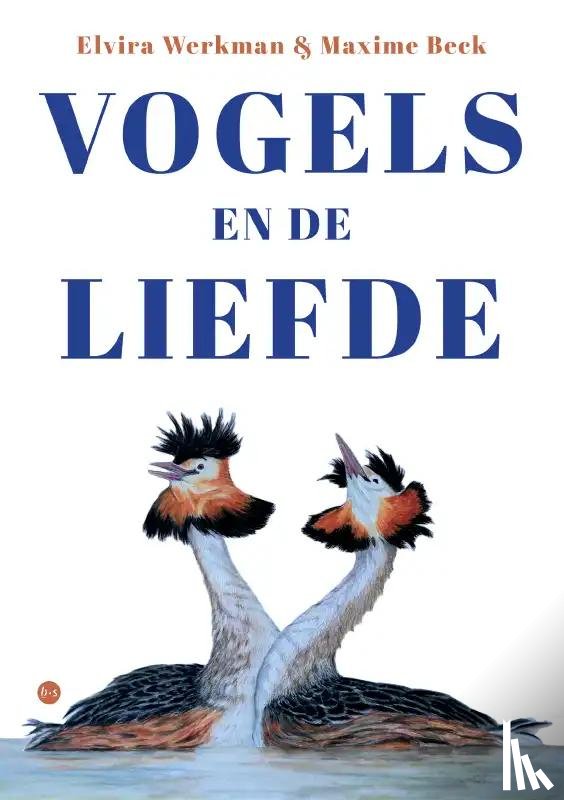 Werkman & Maxime Beck, Elvira - Vogels en de liefde