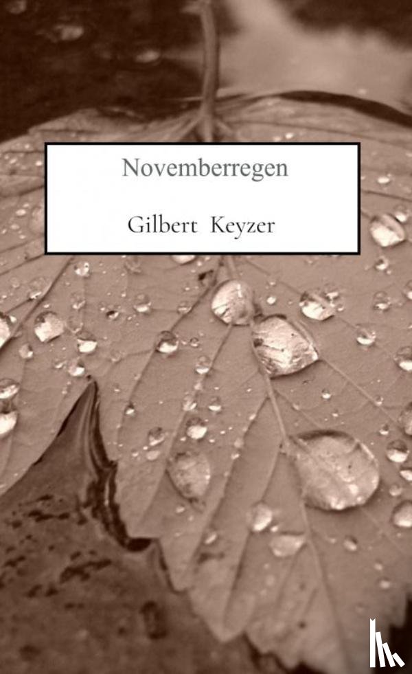 Keyzer, Gilbert - Novemberregen