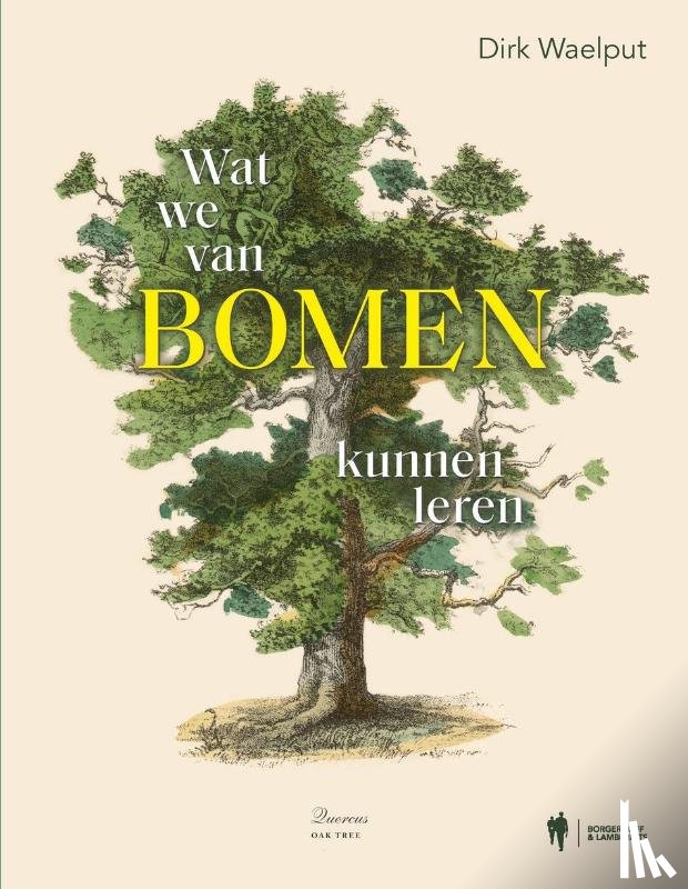 Waelput, Dirk - Wat we van bomen kunnen leren