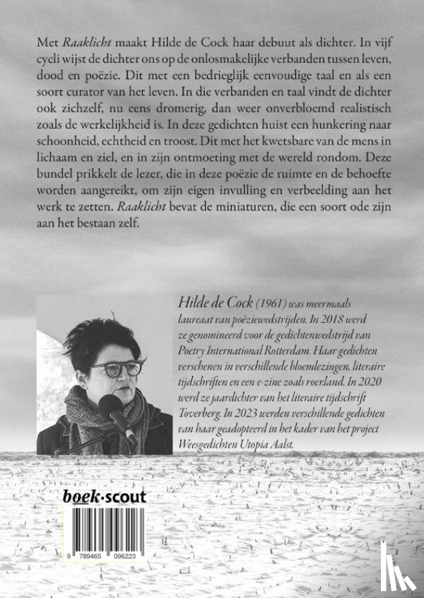 De Cock, Hilde - Raaklicht