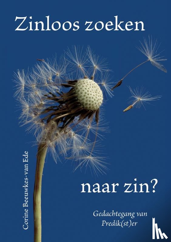 Beeuwkes-van Ede, Corine - Zinloos zoeken naar zin?