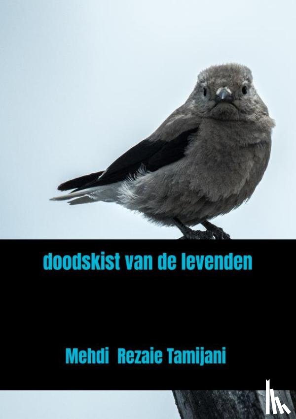 Rezaie Tamijani, Mehdi - doodskist van de levenden