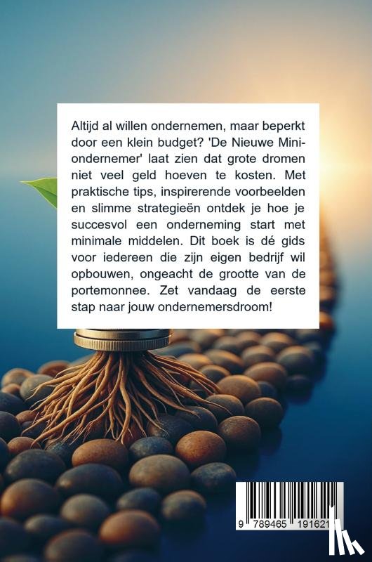B.V., Andries - De Nieuwe Mini-ondernemer: Starten met Weinig Budget