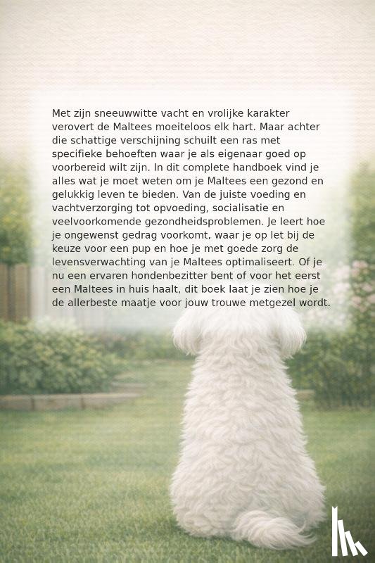 B.V. - Alles over de Maltees