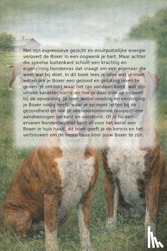 B.V. - Alles over de Boxer