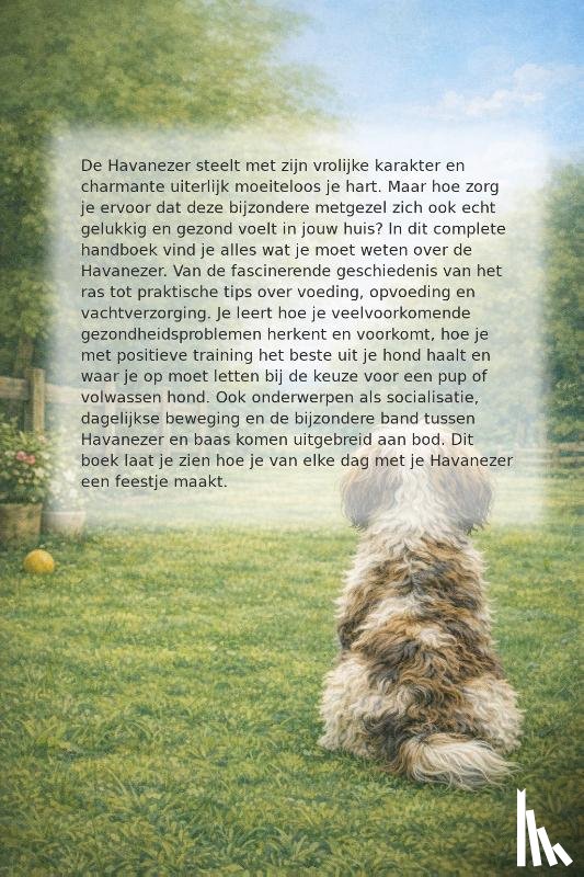 B.V. - Alles over de Havanezer