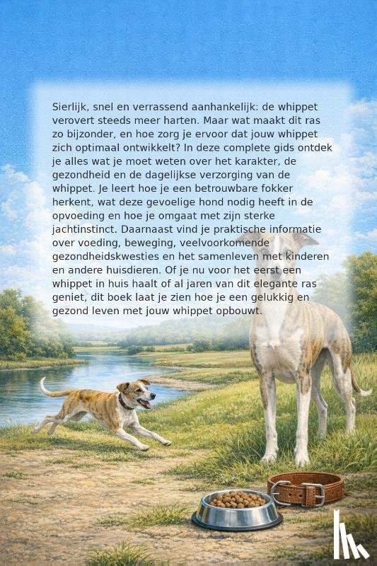 B.V., Andries - Alles over de Whippet