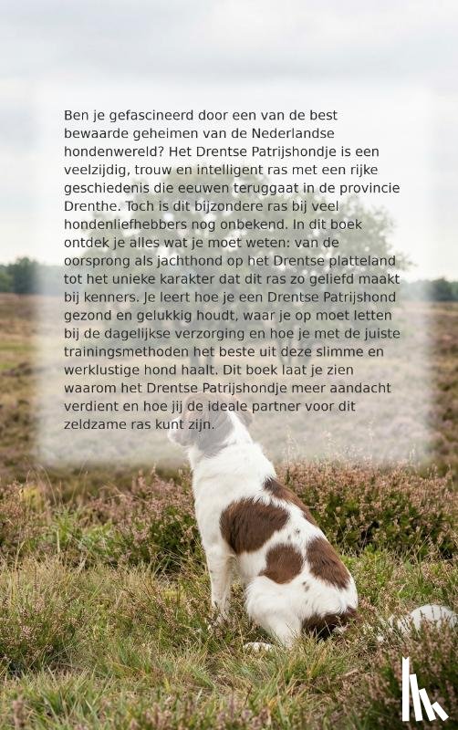 B.V., Andries - Alles over het Drentse Patrijshondje