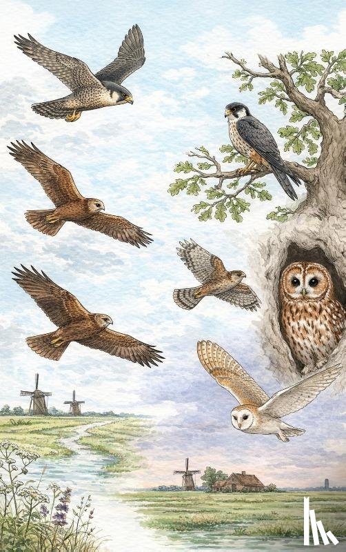  - Van valk tot uil - Alle roofvogels van Nederland