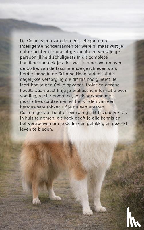  - Alles over de Collie