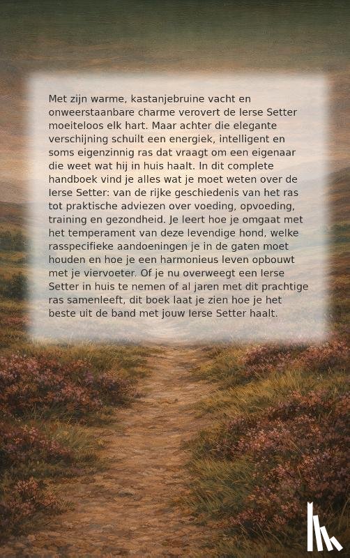 - Alles over de Ierse Setter