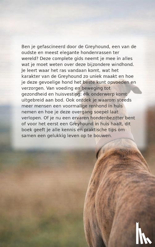  - Alles over de Greyhound