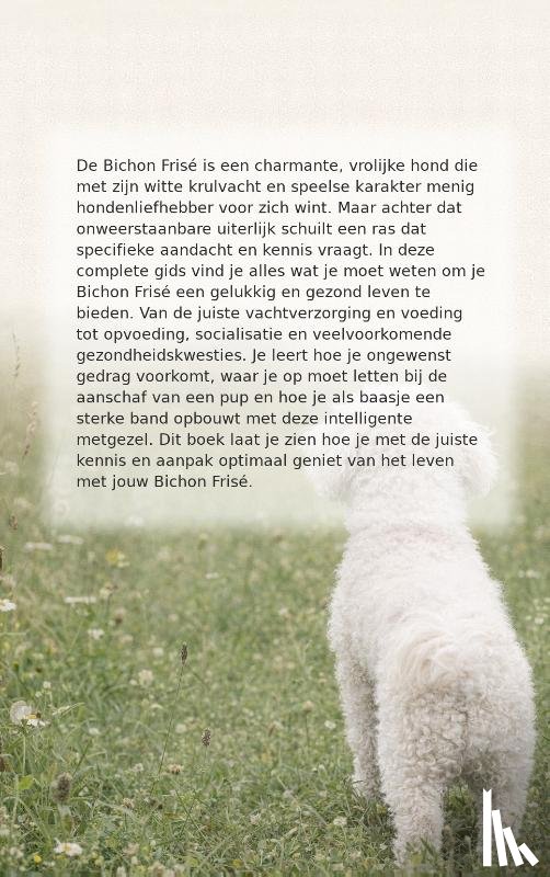  - Alles over de Bichon Frise