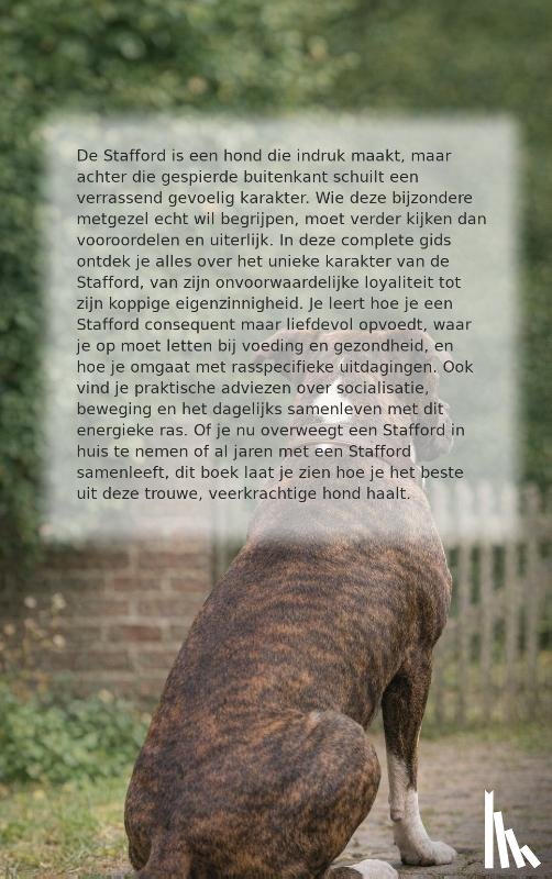  - Alles over de Stafford